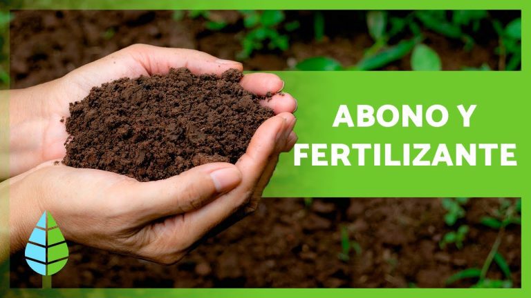 Los mejores abonos y fertilizantes para tus cultivos en Perú: Guía completa de trámites y recomendaciones