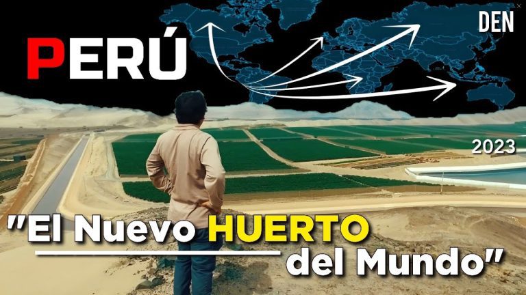 Guía completa de trámites para la agroexportación en el Perú: todo lo que necesitas saber