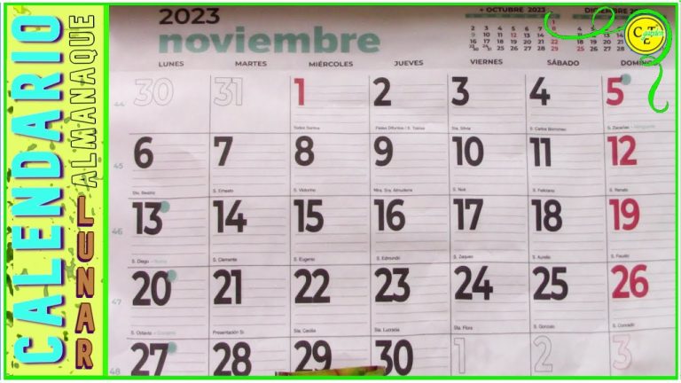 Descubre los Trámites más Importantes para Realizar en Noviembre en Perú: ¡No te Pierdas el Almanaque!
