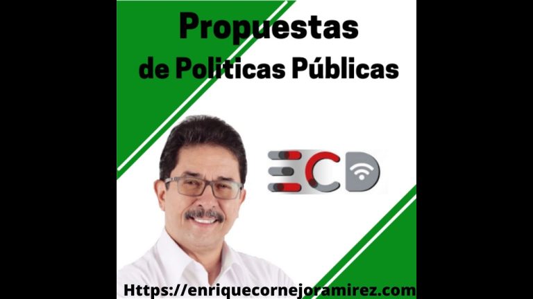 Artículo 60 de la Constitución Política del Perú: Conoce sus derechos y trámites relacionados