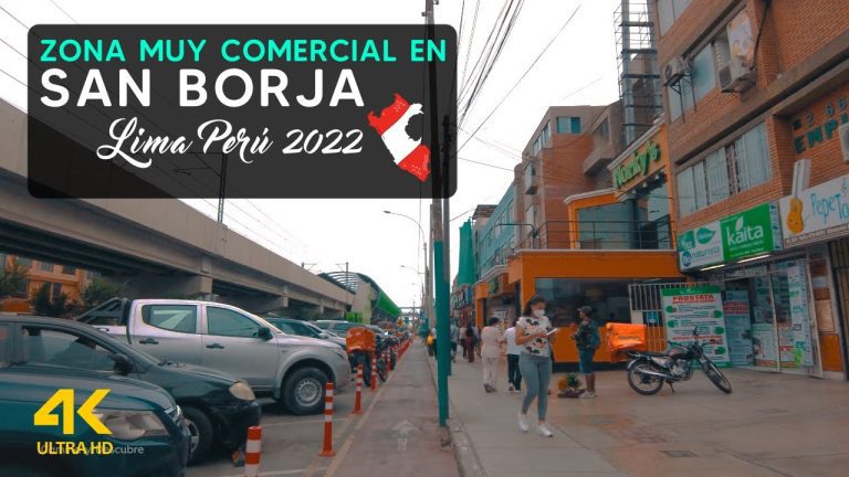 Trámites de Aviación en San Borja: Todo lo que Necesitas Saber | Guía Completa en Perú