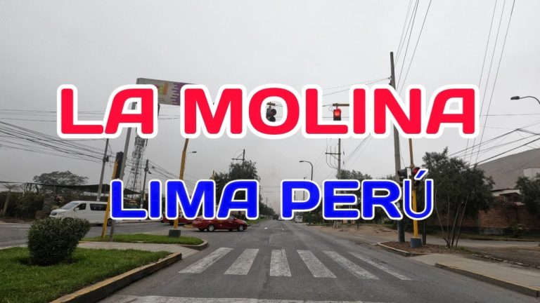 Todo lo que necesitas saber sobre la dirección AV La Molina 1011 para realizar trámites en Perú