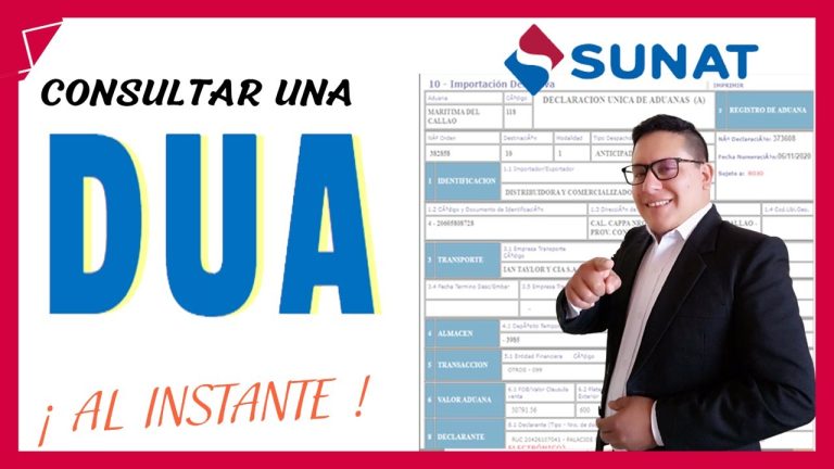 Todo lo que necesitas saber sobre la consulta de DUA en SUNAT: trámites simples y rápidos en Perú
