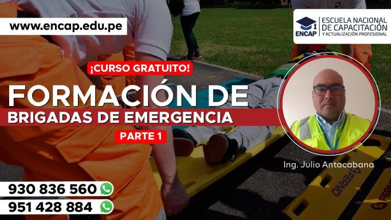 Todo lo que necesitas saber sobre las brigadas de emergencia según la Ley 29783 en Perú