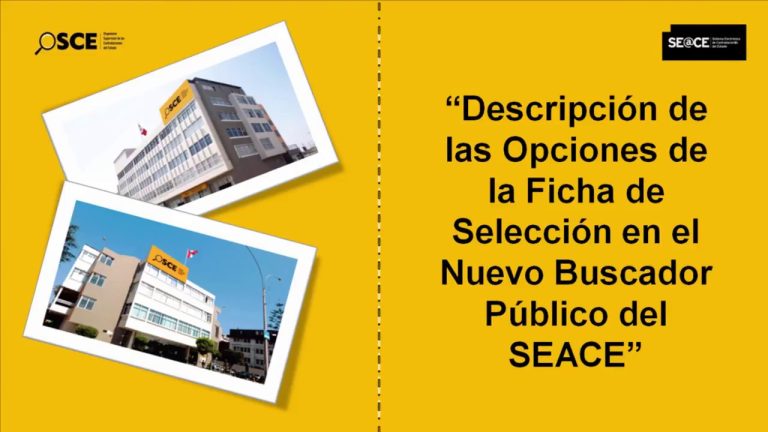Todo lo que necesitas saber sobre el buscador público SEACE 3.0 en Perú: Guía completa de trámites y procesos