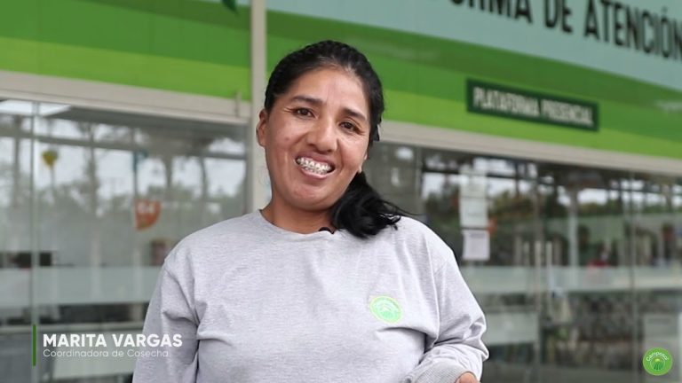 Conoce cómo conseguir trabajo en Camposol: Guía de trámites laborales en Perú