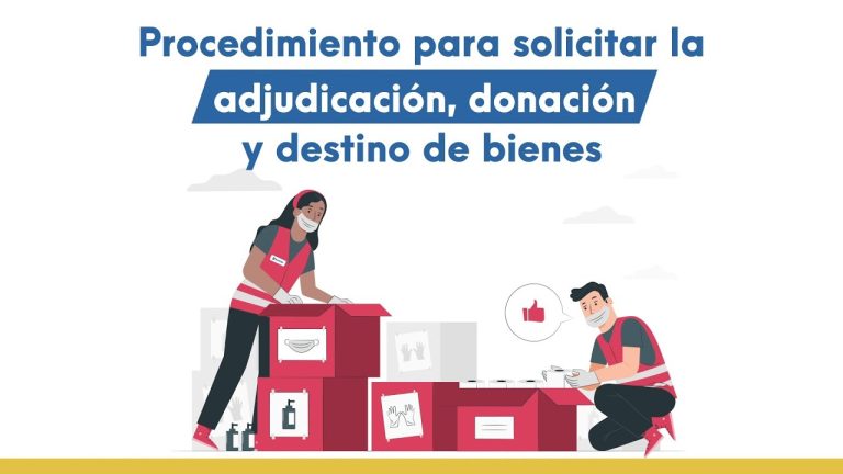 Descubre cómo acceder a bienes disponibles para ser adjudicados y donados en Perú: guía completa de trámites