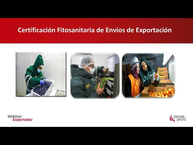 Todo lo que necesitas saber sobre el certificado Senasa en Perú: trámites, requisitos y beneficios