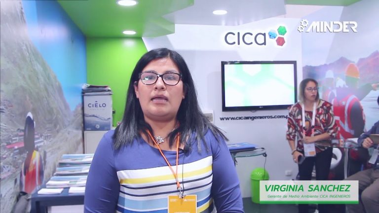 Todo lo que debes saber sobre CICA Ingenieros: Trámites y Servicios en Perú