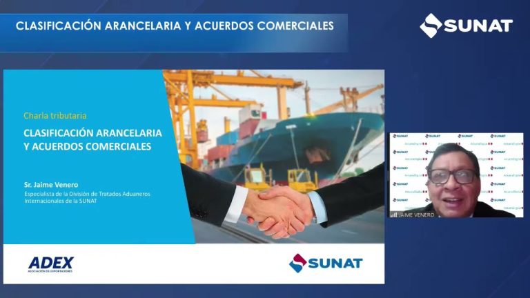 Todo lo que necesitas saber sobre el arancel de la Sunat en Perú: trámites y regulaciones actualizadas