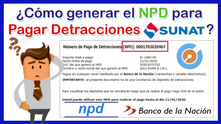 Todo lo que necesitas saber sobre el NPD Sunat: Trámites y requisitos en Perú