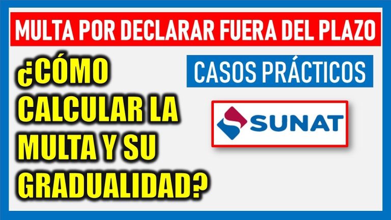 Todo lo que necesitas saber sobre la multa 6041 de SUNAT en Perú: trámites, sanciones y cómo evitarla