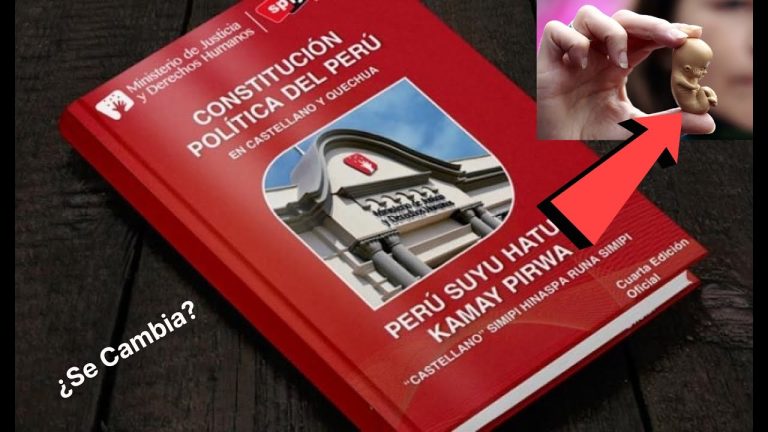 Artículo 4 Constitución Política del Perú: Todo lo que Necesitas Saber para tus Trámites en Perú