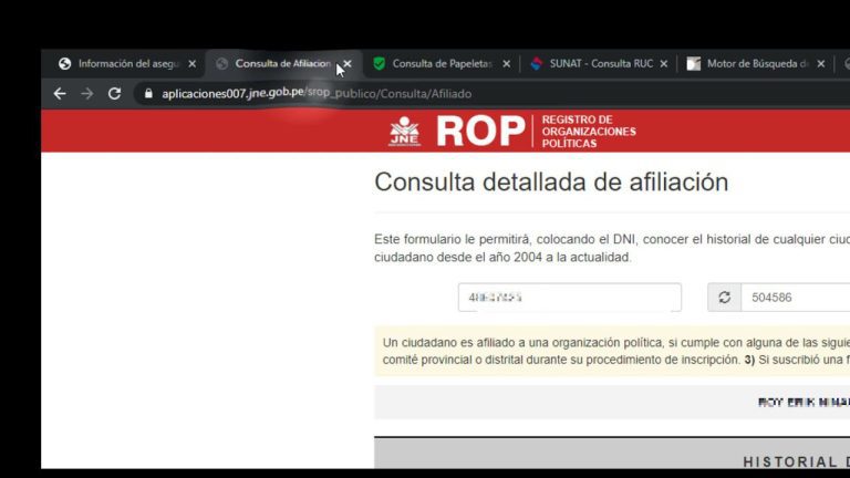 Todo lo que debes saber sobre la protección de datos personales con DNI en Perú: Trámites y regulaciones