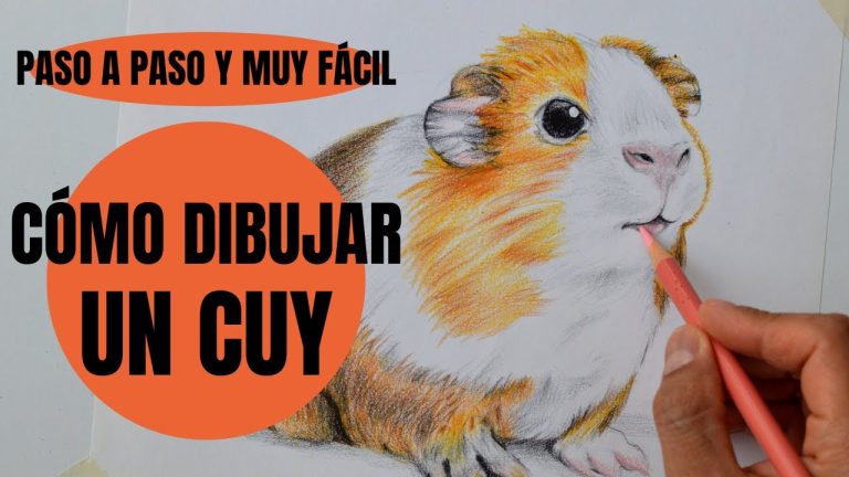 Diviértete coloreando animales cuy: Descarga gratis tus dibujos para colorear en Perú
