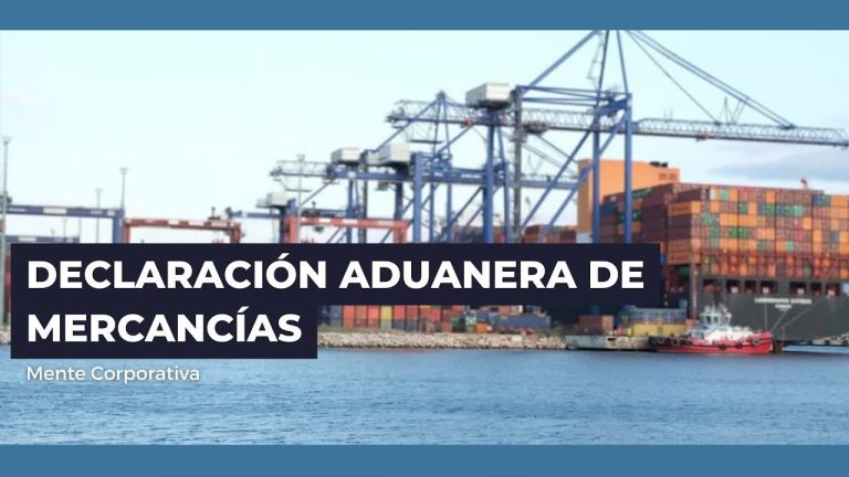 Guía completa para realizar la Declaración Aduanera de Mercancía en Perú: Todo lo que necesitas saber