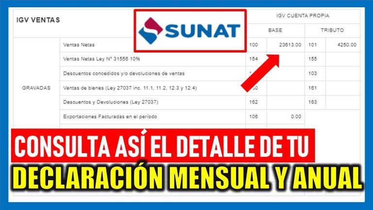 Guía completa para la declaración de la renta anual en Perú: ¡Cumple con la SUNAT sin complicaciones!