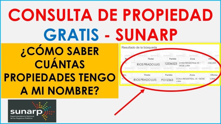 Todo lo que necesitas saber sobre el número de SUNARP en Lima: trámites actualizados en Perú