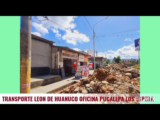 Todo lo que necesitas saber sobre empresa de transporte León de Huánuco en Perú: trámites y requisitos