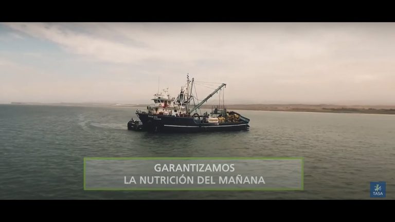 Todo lo que necesitas saber sobre la pesquera tasa en Perú: trámites y requisitos