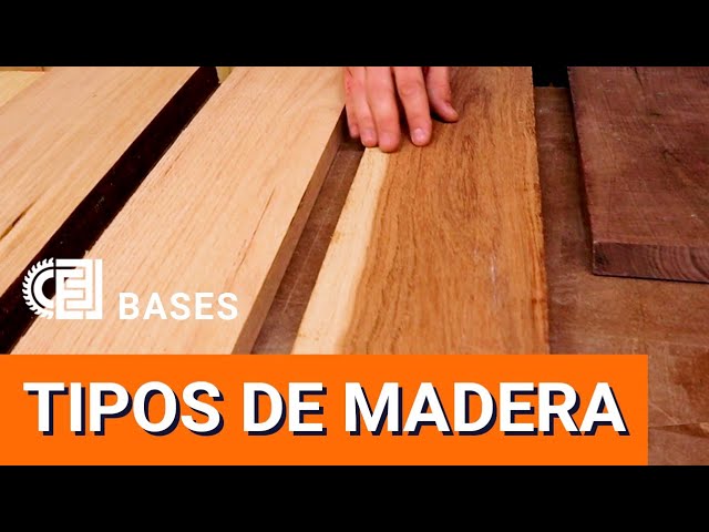 Todo lo que debes saber sobre el espesor de madera en Perú: requisitos y trámites