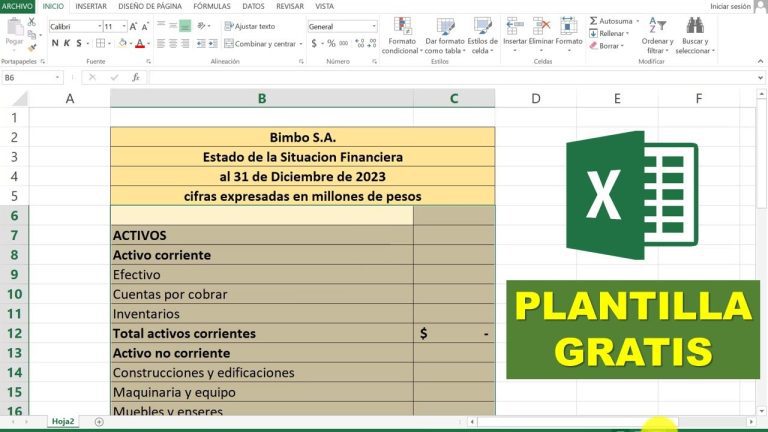 Guía práctica: Cómo elaborar un estado de situación financiera en formato PDF en Perú
