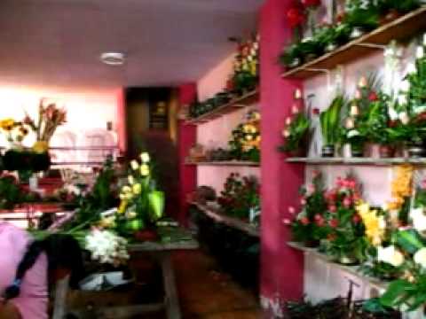 Encuentra la mejor florería Vasquez para tus trámites en Perú: ¡Descubre nuestra selección de servicios florales!