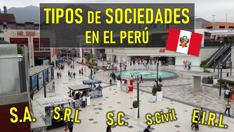 Guía completa de formas societarias en Perú: Todo lo que necesitas saber para elegir la mejor opción