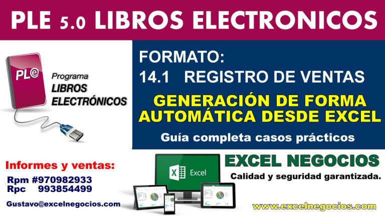 Guía detallada para el registro de ventas en formato 14.1 con Excel: ¡Simplifica tus trámites en Perú!