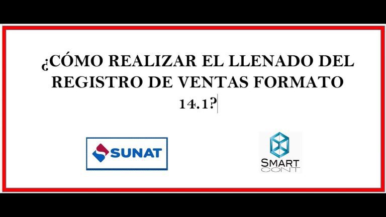 Registro de Ventas Siga la Normativa de Sunat con el Formato 14.1 en Excel: Guía Paso a Paso en Perú