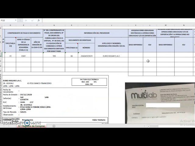 Guía completa para el registro de compras en Sunat con plantilla de Excel incluida en Perú