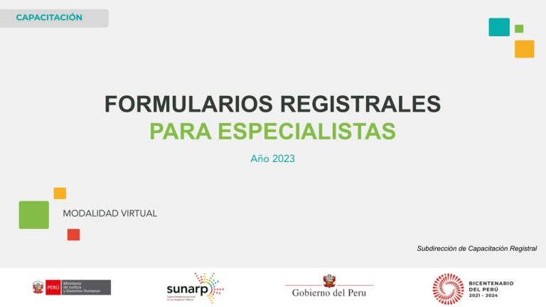 Descarga Rápida y Fácil: Sunarp Formularios para Trámites en Perú