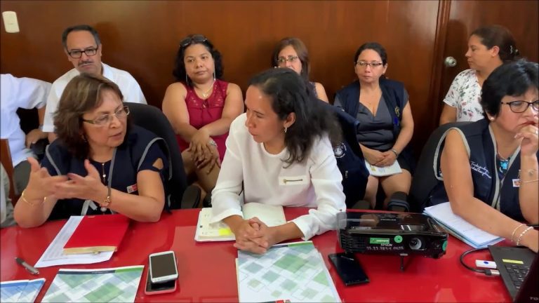 Guía completa para los funcionarios del Minsa: trámites y requisitos en Perú