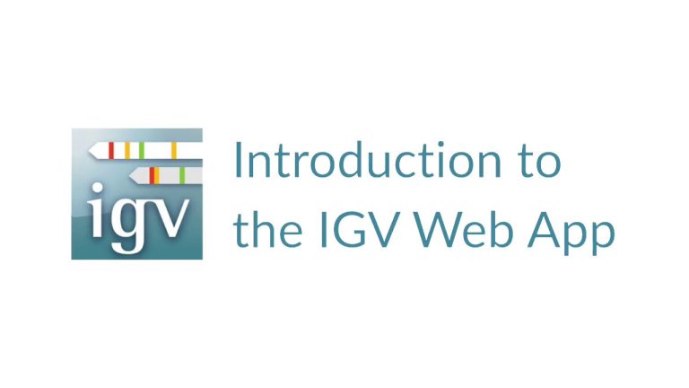 Impulsa tus trámites en Perú: Aprende cómo pagar el IGV online fácilmente