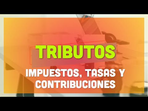 5 Ejemplos de Contribuciones que Facilitarán tus Trámites en Perú