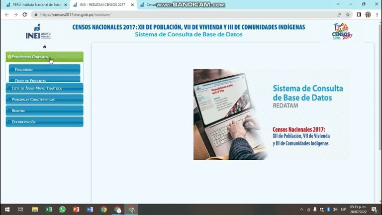 Inei Consulta DNI: Aprende cómo realizar la consulta de tu documento nacional de identidad en Perú