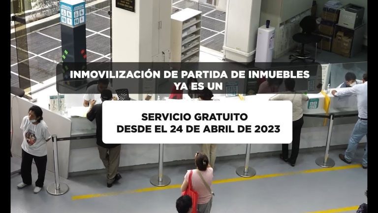 Inmovilización de vehículos en Perú hoy: Todo lo que necesitas saber sobre trámites y procedimientos