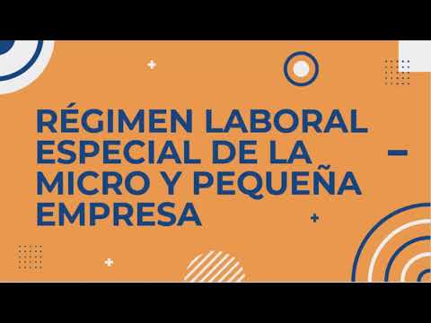 Guía completa sobre el régimen laboral especial en Perú: trámites y requisitos