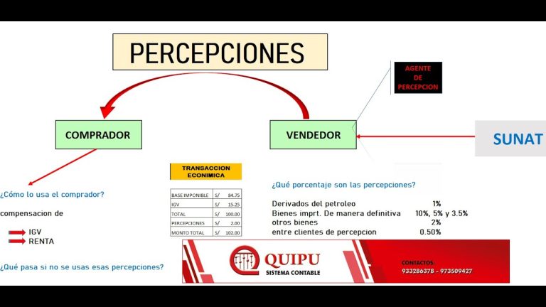 Todo lo que necesitas saber sobre el régimen de percepciones SUNAT en Perú: requisitos, trámites y más