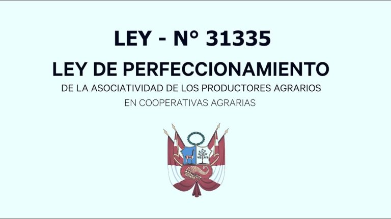 Todo lo que necesitas saber sobre la Ley 31335 en Perú: trámites, requisitos y beneficios