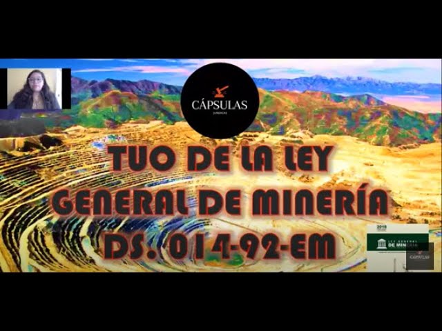 Ley General de Minería en Perú: Todo lo que necesitas saber para el trámite de tu solicitud