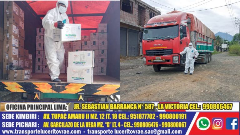 Tu guía completa sobre los trámites y servicios de la agencia Lucerito VRAE en Perú