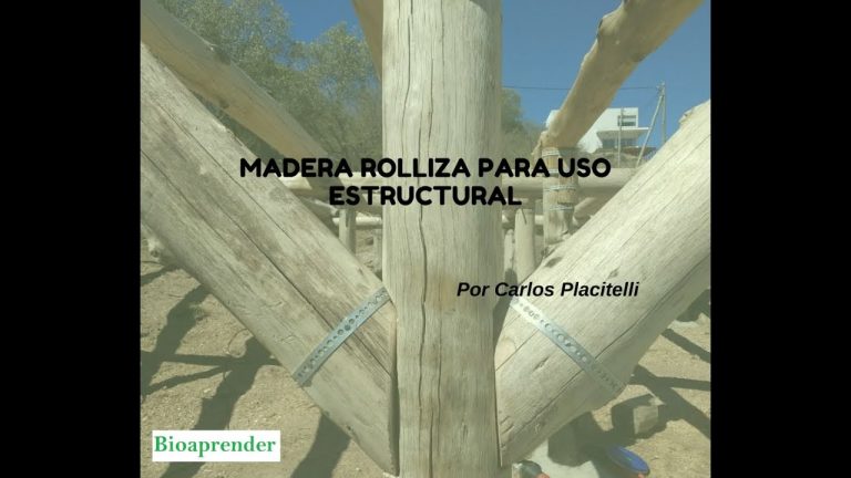 Todo lo que necesitas saber sobre la madera rolliza en Perú: trámites, regulaciones y consejos
