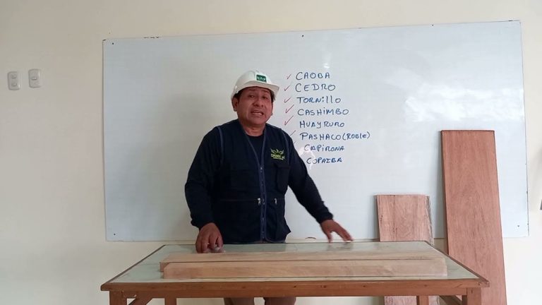Descubre las mejores madereras peruanas para tus proyectos en Perú: Guía completa de trámites y proveedores