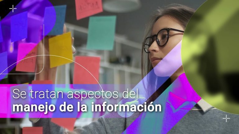 Todo lo que necesitas saber sobre el manejo de información para trámites en Perú: consejos y pasos clave