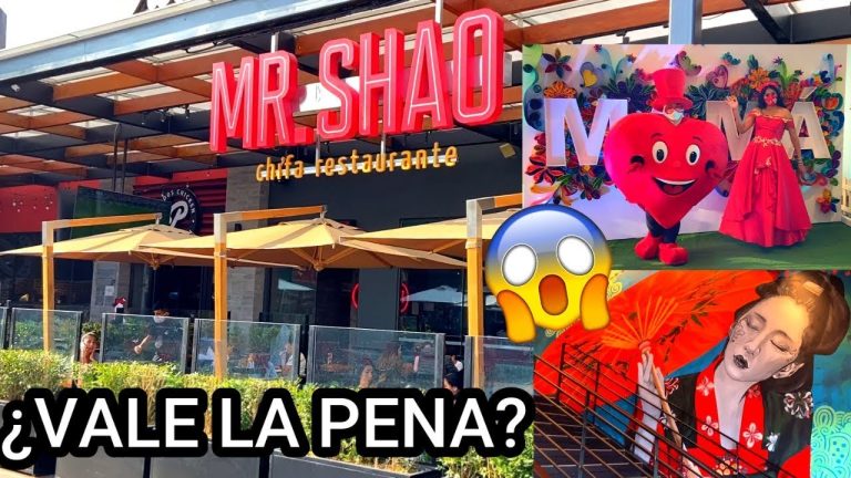 Todo lo que necesitas saber sobre Mister Shao Plaza Norte: Guía de trámites en Perú
