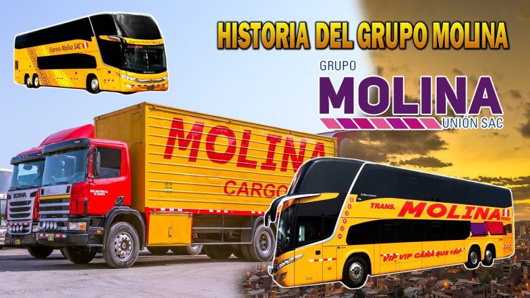Trámites en Perú: Todo sobre el servicio de Molina Cargo y cómo facilita tus envíos