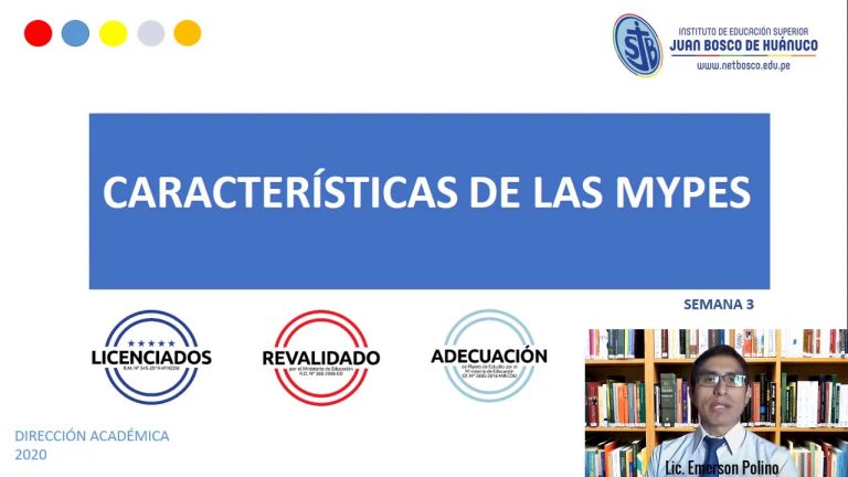 Descubre las Características Clave de las Mypes en Perú: Todo lo que Necesitas Saber