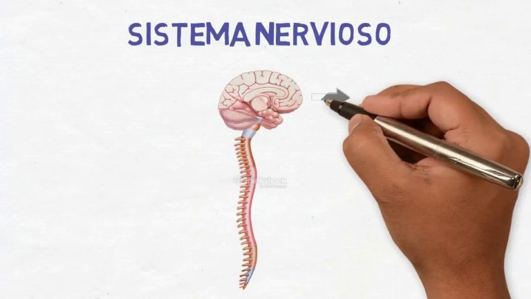 Encuentra el Mejor Neurólogo en Chimbote: Guía Completa y Trámites en Perú