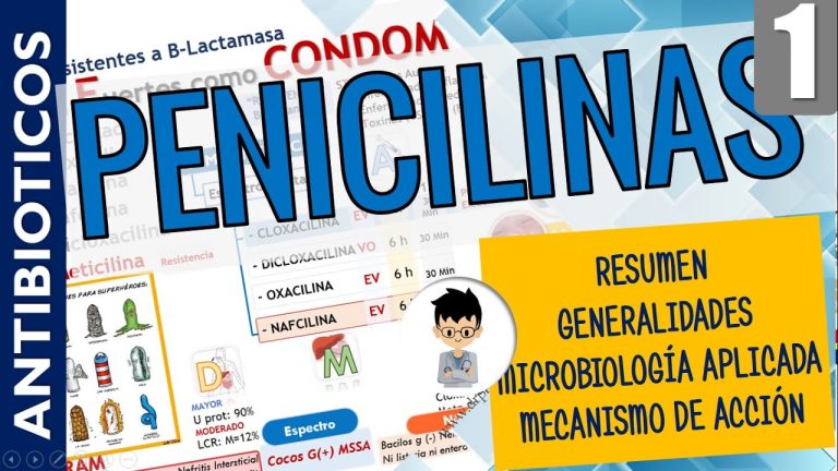 Todo lo que debes saber sobre la penicilina clemizol en Perú: trámites, importancia y usos